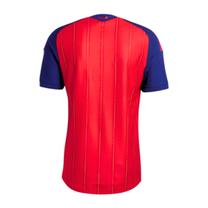 Selección España camiseta Campeona Dos Estrellas